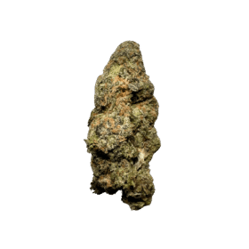 Sherbmoney Strain