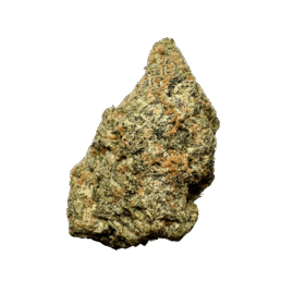 Black Cherry Gushers Strain