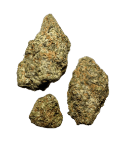Cali Flowers