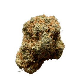Amnesia Haze Seeds