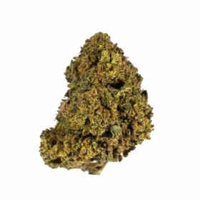 Acapulco Gold Strain