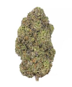 SATIVA