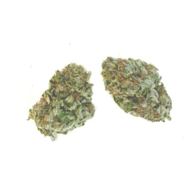 Green Crack Strain