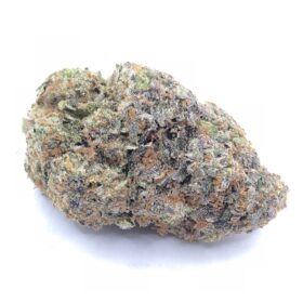Guava Strain