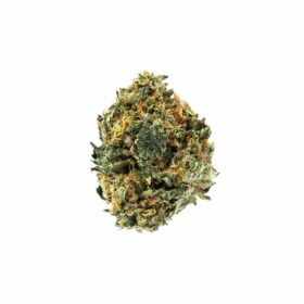Hindu Kush Strain