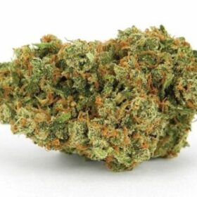 Jack Herer Seeds