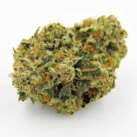 Kosher Kush Strain