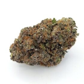 LA Confidential Strain