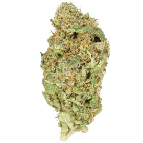 Lemon Haze Strain
