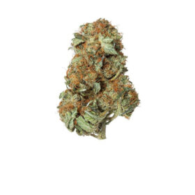 MK Ultra Strain