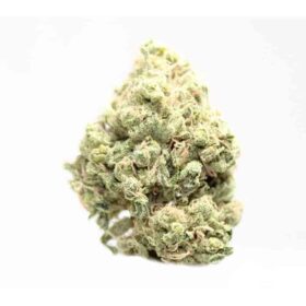 maui wowie strain