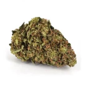 Skywalker OG Kush