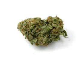 Lemon Sour Diesel Strain