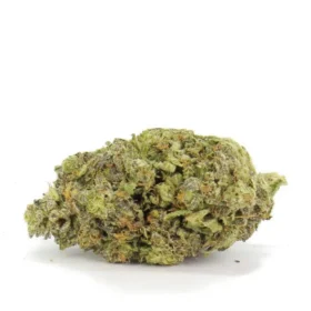 strawberry cough seeds