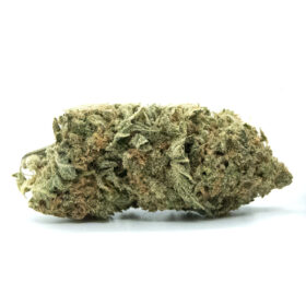Super Silver Haze Strain